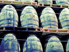 Jameson estudia la madera de castaño gallego para su ‘whisky’