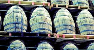 Jameson estudia la madera de castaño gallego para su ‘whisky’
