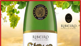 Vino Sinus. Vinoloa Sinus. Ribeiro