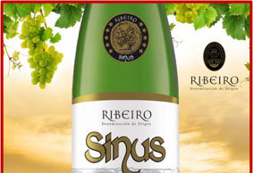 Vino Sinus. Vinoloa Sinus. Ribeiro