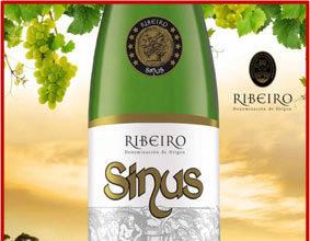 Vino Sinus. Vinoloa Sinus. Ribeiro