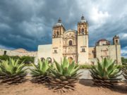 Mezcal, la bebida llegada del cielo.