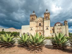 Mezcal, la bebida llegada del cielo.