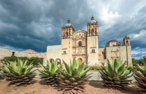 Mezcal, la bebida llegada del cielo.