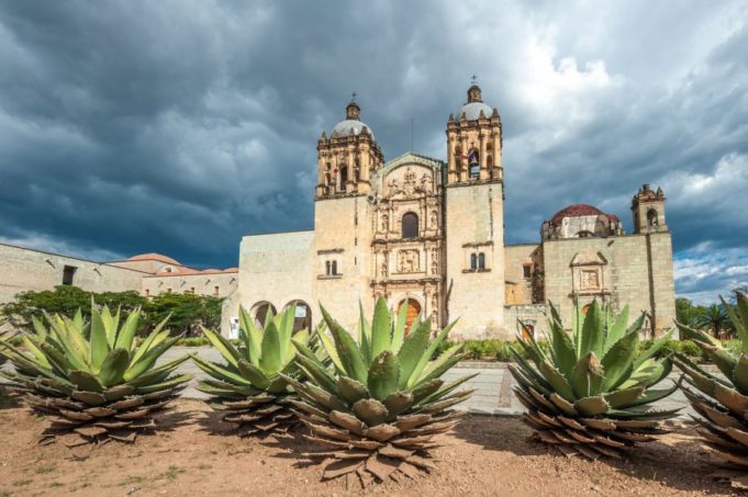Mezcal, la bebida llegada del cielo.
