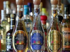 El tequila se oficializa TEQUILA dia oficial