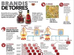 Los Brandis de Bodegas Torres