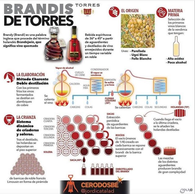Los Brandis de Bodegas Torres
