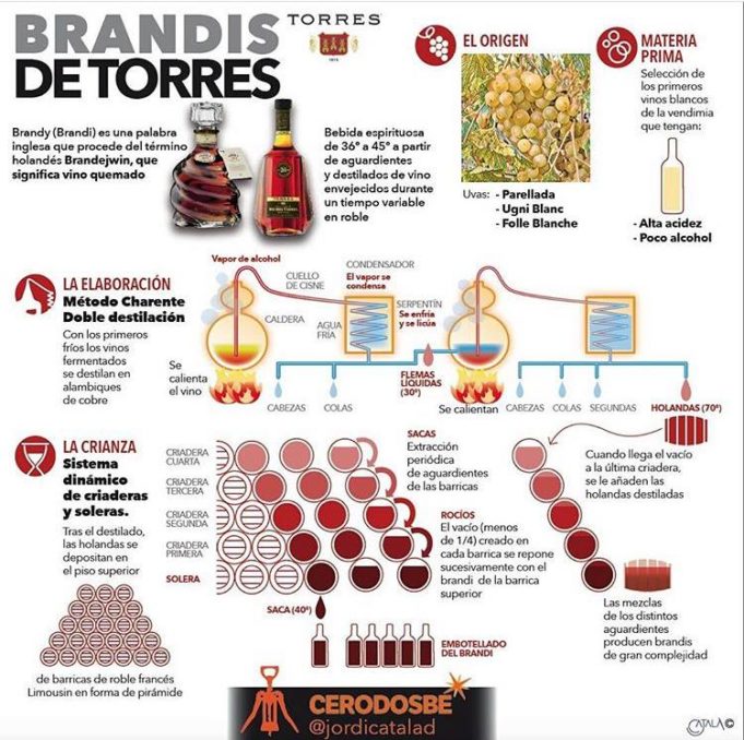 Los Brandis de Bodegas Torres
