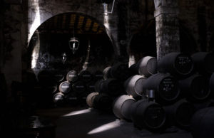 Osborne permite el acceso a sus bodegas Osborne permite el acceso a sus bodegas