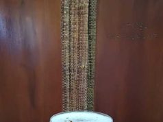 Cocktails: Pisco del sur