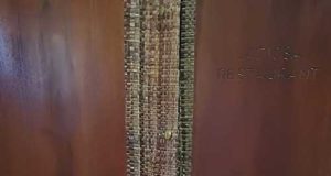 Cocktails: Pisco del sur