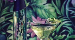 Elit art of Martini 2018