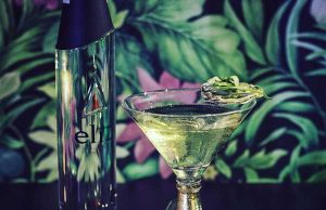 Elit art of Martini 2018