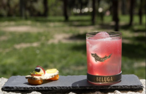 Dazfer Subero, Perra Chica. Madrid Dazfer Subero, Perra Chica. Madrid