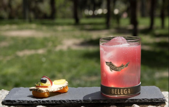 Dazfer Subero, Perra Chica. Madrid Dazfer Subero, Perra Chica. Madrid