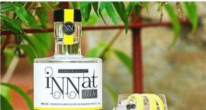 Innat Ginebra Premium de Menorca
