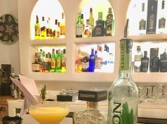 Zelmar Grau. The Beach House Javea