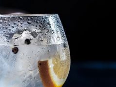 LARGA VIDA A LA GINEBRA