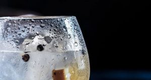 LARGA VIDA A LA GINEBRA