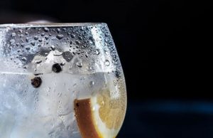 LARGA VIDA A LA GINEBRA