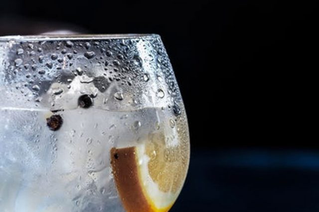 LARGA VIDA A LA GINEBRA