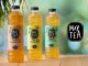 MAYTEA, el refresco de té para cocteles sin alcohol