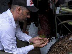 DIEGO CABRERA PRESENTA AMAZONIA, UN VIAJE SENSORIAL POR LA SELVA DEL PERÚ