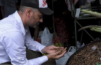 DIEGO CABRERA PRESENTA AMAZONIA, UN VIAJE SENSORIAL POR LA SELVA DEL PERÚ