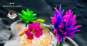 Cook Taliskitaca by Daniel. Aquí Te Quiero Ver, Marbella.