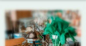 RED COCO by Olaia Sánchez