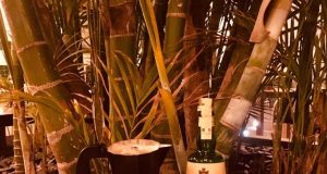 Cóctel Lungavitta para Amaro Montenegro