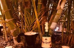 Cóctel Lungavitta para Amaro Montenegro