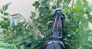 SINE METU, una cerveza artesanal que tiene madera de WHISKEY