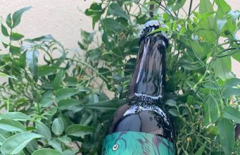 SINE METU, una cerveza artesanal que tiene madera de WHISKEY