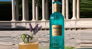 ART OF ITALICUS APERITIVO CHALLENGE