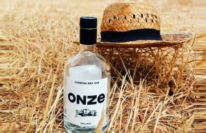 Gin Onze