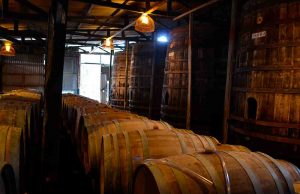 PISCO, EL DESTILADO DE LOS ANDES