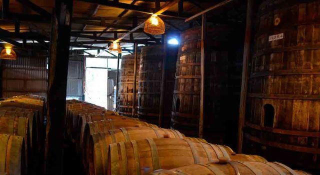 PISCO, EL DESTILADO DE LOS ANDES