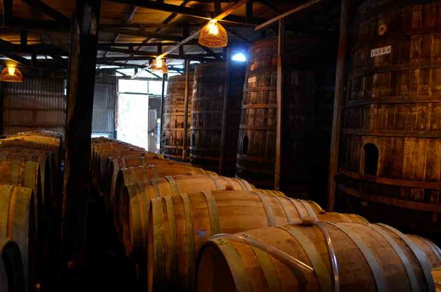 PISCO, EL DESTILADO DE LOS ANDES