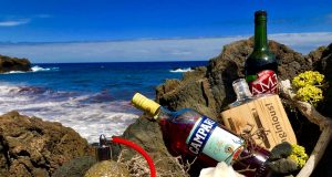 LA CARACOLA DE INTERIÁN.