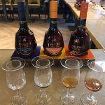 Momento de la cata de Holandas de 1ª destilación, Holanda de Columna, Vino amontillado y vino Oloroso.