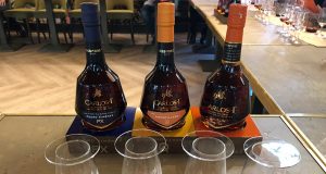 Colegio del Brandy Carlos I