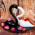 cisne2