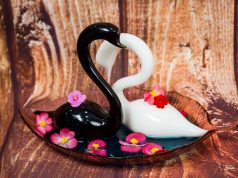 Coctel Cisne Blanco y Cisne Negro by José Mendéz