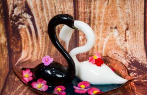 Coctel Cisne Blanco y Cisne Negro by José Mendéz