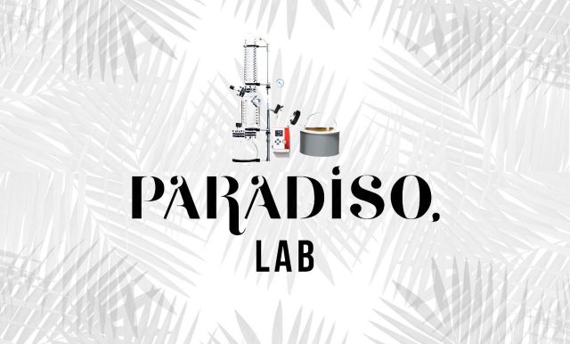 Paradiso Lab