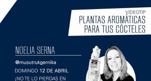 Plantas aromáticas en la elaboración de cócteles en casa by Noelia Serna. The Alchemist Club