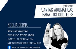 Plantas aromáticas en la elaboración de cócteles en casa by Noelia Serna. The Alchemist Club