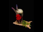 Pompa efímera de Bergamota by José Méndez.